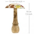 Fa gomba deco őszi levelek fehér, színes őszi dekoráció Ø13cm H19cm | Floristik24.hu