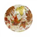 Floristik24 Fa gomba dekoráció őszi levelek fehér, színes gomba asztali dekoráció Ø10cm H15cm