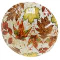 Floristik24 Fa gomba deco őszi levelek fehér, színes őszi dekoráció Ø13cm H19cm
