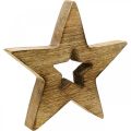 Floristik24 Fából készült csillag lángos fa dekoráció Karácsonyi csillag álló 15cm