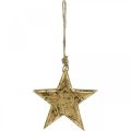 Floristik24 Akasztható csillag, arany hatású fadísz, Advent 14cm × 14cm