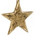 Floristik24 Akasztható csillag, arany hatású fadísz, Advent 14cm × 14cm