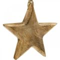 Floristik24 Dekoratív csillag, fa medálok, karácsonyi díszek 14cm × 14cm