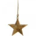 Floristik24 Dekoratív csillag, fa medálok, karácsonyi díszek 14cm × 14cm