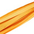 Floristik24 Facsíkok sárga 95cm - 100cm 50db