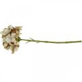 Floristik24 Hortenzia művirág barna, fehér őszi dekoráció selyemvirág H32cm