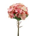 Floristik24 Hortenzia művirág hortenzia rózsaszín lazac 35cm 3db