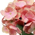 Floristik24 Hortenzia művirág hortenzia rózsaszín lazac 35cm 3db