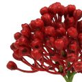 Floristik24 Hortenzia bimbó csákány 22cm piros 12db