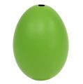 Floristik24 Csirke tojás 5,5cm - 7cm Zöld 10db