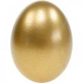 Floristik24 Csirke tojás arany fújt tojás húsvéti dekoráció 10db