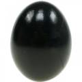 Floristik24 Csirke tojás Fekete húsvéti dekoráció Fújt tojás 10db