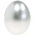 Floristik24 Csirke tojás Ezüst húsvéti dekoráció Fújt tojás 10db