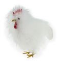 Floristik24 Deco szett csirkepár 13cm és 15cm fehér
