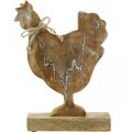 Floristik24 Fa csirke, tavaszi dekoráció, húsvéti figura natúr, fehérre mosott H26cm