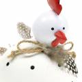 Floristik24 Deco figura csirke fehér pöttyös tollas H13cm 2db
