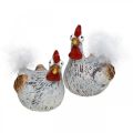Floristik24 Easter Hens Funny Chicken Chickens Deco Kerámia 4db