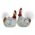 Floristik24 Easter Hens Funny Chicken Chickens Deco Kerámia 4db