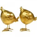 Floristik24 Deco csirke húsvéti dekorációs figura arany kerek, H10 cm 2db
