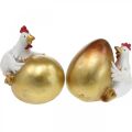 Floristik24 Dekoratív csirkék húsvéti tojással, húsvéti csirkék, aranytojás, húsvéti dekoráció H12/11cm 2 db-os szett