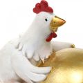 Floristik24 Dekoratív csirkék húsvéti tojással, húsvéti csirkék, aranytojás, húsvéti dekoráció H12/11cm 2 db-os szett