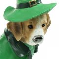 Floristik24 Beagle sapkás Szent Patrik napi kutya öltönyben Kertdísz kopó 24,5 cm