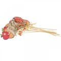 Floristik24 Virágpálcika sün, fa díszítéssel, őszi figura H9,5cm L32cm 12db