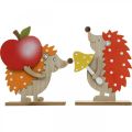 Floristik24 Őszi figura, sün almával és gombával, fa díszítéssel narancssárga / piros H24 / 23,5 cm-es 2 db-os szett