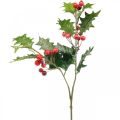 Floristik24 Mesterséges magyalág, téli bogyók, karácsonyi díszek, magyal havas zöld, piros L63cm
