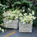 Floristik24 Ültetési dobozok, fa dekoráció, díszdoboz méhekkel, tavaszi dekoráció, kopott sikkes L15/12cm H10cm 2 db-os készlet