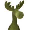 Elk szélű zsámoly díszes szélű ülőgarnitúra zöld M31cm 2 darab | Floristik24.hu