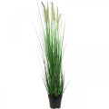 Floristik24 Mesterséges sás tüskés cserépben Carex műnövény 98cm