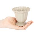 Dekoratív tál, krémszínű trófea, kicsi, 10cm | Floristik24.hu