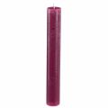 Floristik24 Egyszínű gyertyák Bogyó rúd gyertyák 34x240mm 4 db