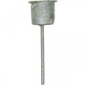Plug-in gyertyatartó Shabby Chic szürke Ø3cm H8,5cm 8 db | Floristik24.hu