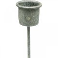 Floristik24 Plug-in gyertyatartó Shabby Chic szürke Ø3cm H8,5cm 8 db