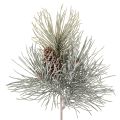 Floristik24 Műfenyőág tobozokkal, télies, 40cm