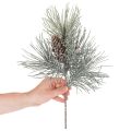 Műfenyőág tobozokkal, télies, 40cm | Floristik24.hu