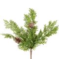 Floristik24 Műfenyőág tobozokkal, hófödte, 28 cm, 6 darab