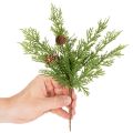 Műfenyőág tobozokkal, 28 cm, 6 darab | Floristik24.hu