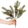 Műfenyőág tobozdíszítéssel, 41cm | Floristik24.hu