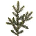 Floristik24 Műfenyőág asztaldíszítéshez és kompozíciókhoz, 45 cm, 3 darab
