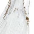 Floristik24 Kókuszhéj kókuszlevél fehérre mosva