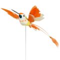 Floristik24 Kolibri drótra ragasztáshoz rózsaszín, narancs 17cm 6db