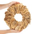 Fagomba koszorú, natúr színű, ajtó- vagy faldekorációra, 37 cm | Floristik24.hu