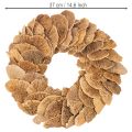 Fagomba koszorú, natúr színű, ajtó- vagy faldekorációra, 37 cm | Floristik24.hu