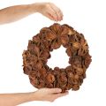 Szárított Lótusz Koszorú, Dekoratív Ajtókoszorú, 35cm | Floristik24.hu