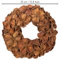 Szárított Lótusz Koszorú, Dekoratív Ajtókoszorú, 35cm | Floristik24.hu