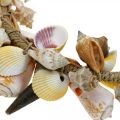 Floristik24 Dekoratív koszorú kagylók és csigák natúr tengeri dekoráció Ø30cm