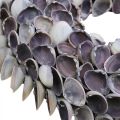 Kagylókoszorú, lila csipkés natúr kagylók, kagylóból készült gyűrű Ø25cm